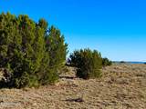 River Meadows Ranch Unit 3 Lot 204 - Photo 12