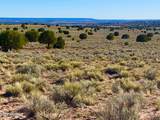 River Meadows Ranch Unit 3 Lot 204 - Photo 14