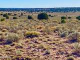 River Meadows Ranch Unit 3 Lot 204 - Photo 15
