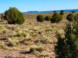 River Meadows Ranch Unit 3 Lot 204 - Photo 3