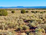 River Meadows Ranch Unit 3 Lot 204 - Photo 8