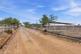 22795 Cactus Forest Road - Photo 2