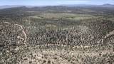 19755 Sullivan Buttes Road - Photo 15