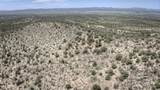 19755 Sullivan Buttes Road - Photo 22