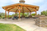 30381 Desert Willow Boulevard - Photo 43