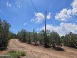 3981 Apache Road - Photo 4