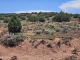 3981 Apache Road - Photo 5