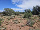 3981 Apache Road - Photo 6