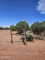 3981 Apache Road - Photo 9