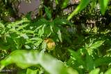 80 Brielle Lane - Photo 78