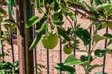 80 Brielle Lane - Photo 82