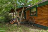 8020 Gibson Ranch Road - Photo 5
