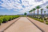 11300 Casa Dega Drive - Photo 103