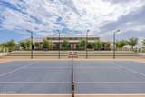 11300 Casa Dega Drive - Photo 106