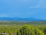 8063 Mustang Ln 10 Acres - Photo 12