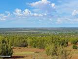 8063 Mustang Ln 10 Acres - Photo 14