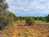 8063 Mustang Ln 10 Acres - Photo 4