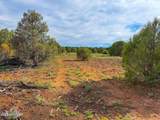 8063 Mustang Ln 10 Acres - Photo 9