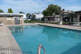 286 Palomino Drive - Photo 16