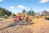 12816 Vista Paseo Drive - Photo 40