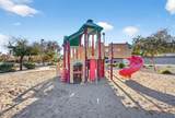 12816 Vista Paseo Drive - Photo 41