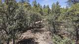 0 Rustic Trail - Photo 3
