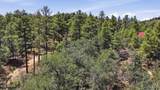 0 Rustic Trail - Photo 4