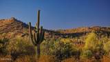 31583 Goldfield Road - Photo 2