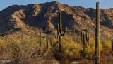 31583 Goldfield Road - Photo 6