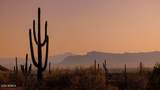 31583 Goldfield Road - Photo 8