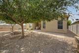 43186 Lindgren Drive - Photo 31