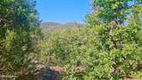 29 Co Rd 3199 - Photo 1