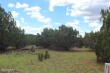 29 Co Rd 3199 - Photo 10