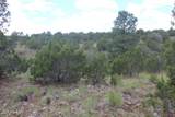 29 Co Rd 3199 - Photo 12