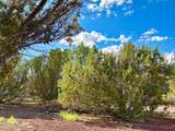 29 Co Rd 3199 - Photo 7