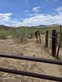 5053 Highway 77 - Photo 15