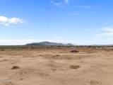 X Long Rifle Road - Photo 12