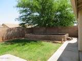 3351 Amber Way - Photo 28