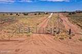 9781 Miller Trail - Photo 37