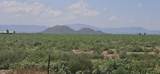 20 Acres Robison Road - Photo 3