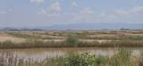 20 Acres Robison Road - Photo 5