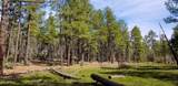 2259 T Bear Trail - Photo 1