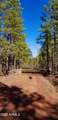 2259 T Bear Trail - Photo 5