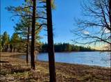 2259 T Bear Trail - Photo 6