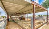 3232 Carver Road - Photo 17