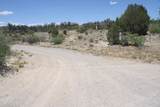 6302 Avatar Way - Photo 14