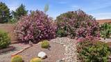3036 Palmer Drive - Photo 3