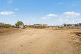 10644 American Pride Drive - Photo 39