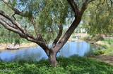 13436 Duane Lane - Photo 45