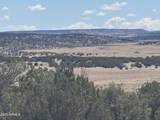 Lot 752 Woodland Valley Ranch - Photo 5